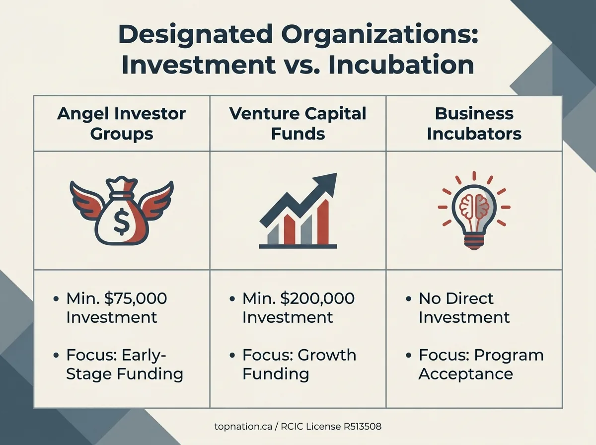 Designated Org Comparison Infographic comparing the requirements and focus of Angel Investor Groups, Venture Capital Funds, and Business Incubators for the Start-Up Visa.
