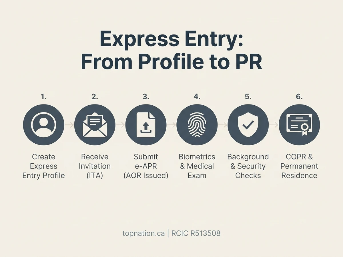 Infographic of the six steps of the Express Entry process from profile to permanent residence.