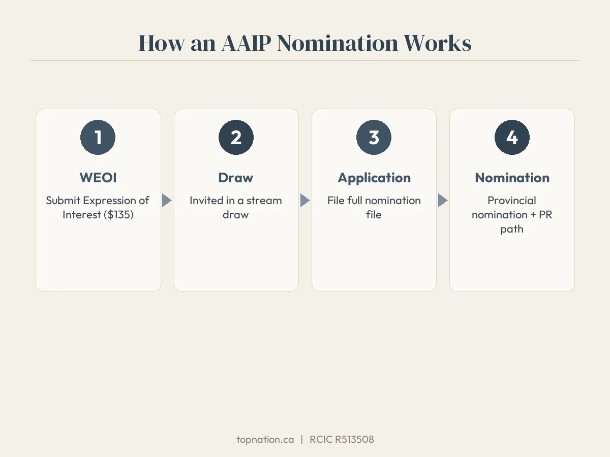 Infographic of how an AAIP nomination works, from WEOI to provincial nomination